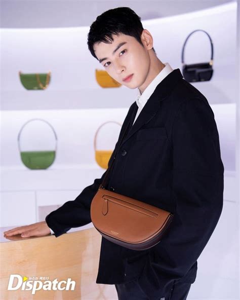 cha eun woo burberry bag